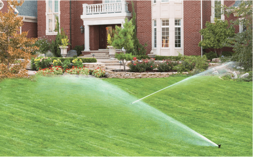 A Horticultural Approach to Irrigation