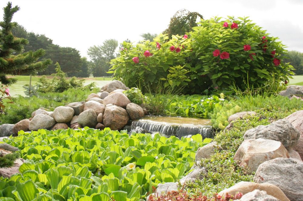 Reder Water Garden Scenes  from the MNLA Landscape Design Tour