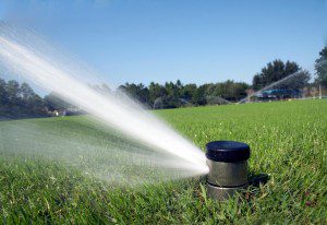 Are Your Sprinklers Flushing Money Down the Drain When You’re Not Looking?