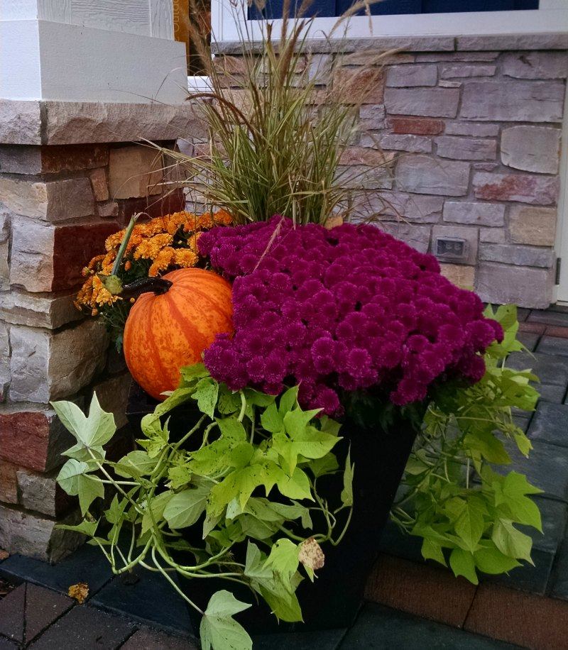 Add Seasonal Color with Fall Container Gardens