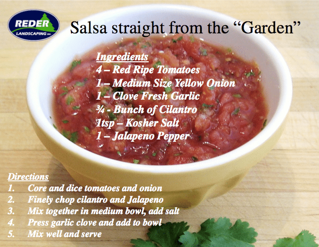 Salsa From the Garden – Favorite Recipe