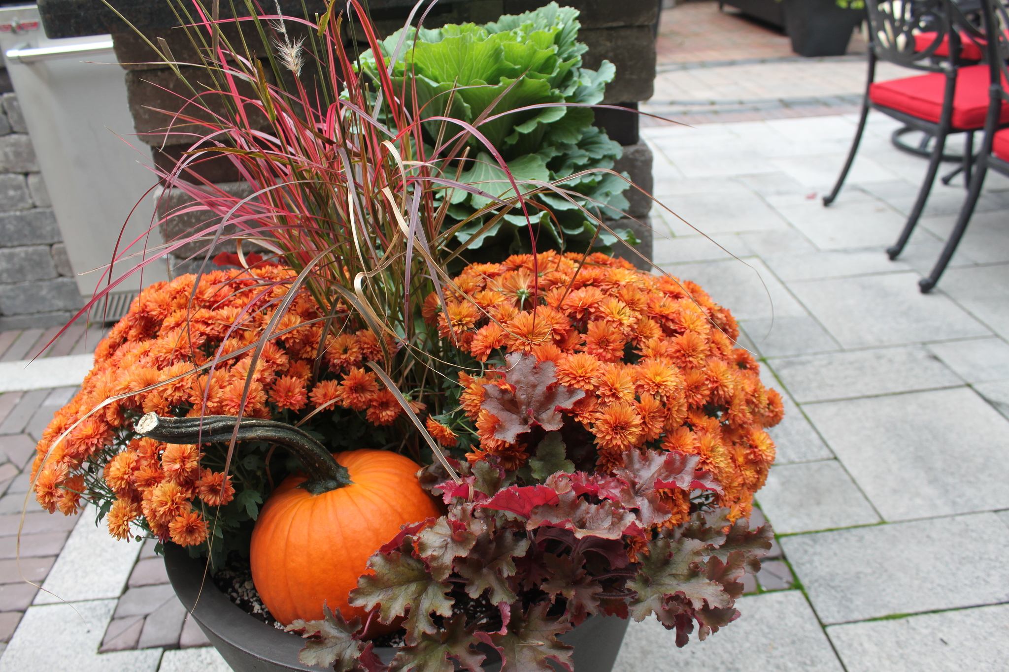 Fall Container Garden