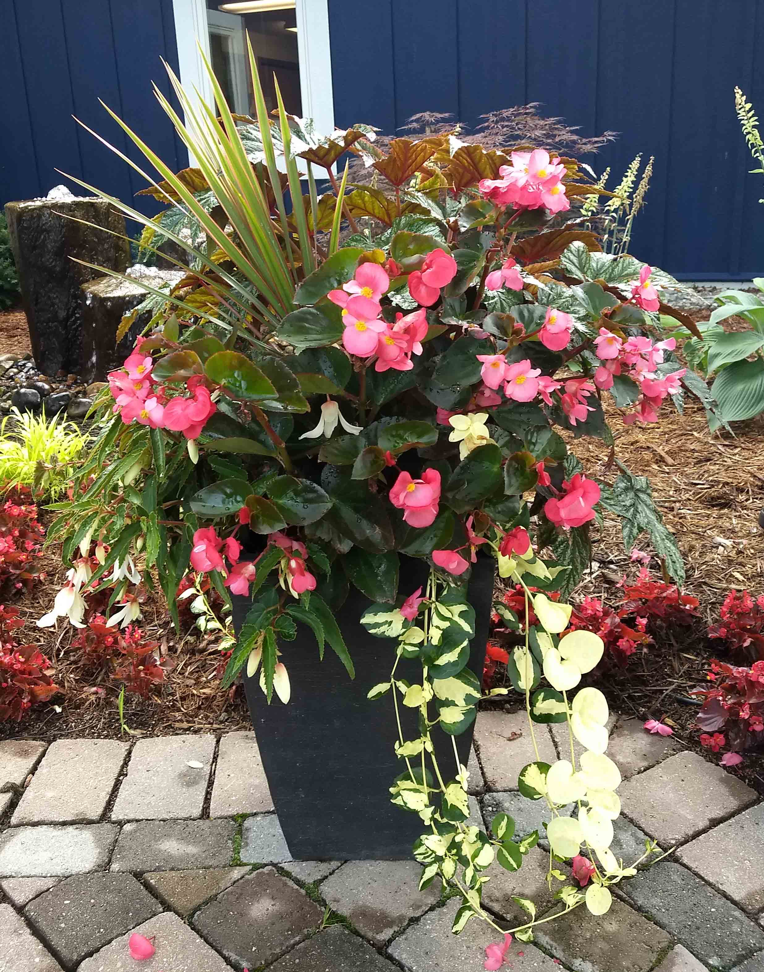 Container Garden