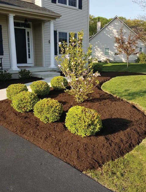 mulch after