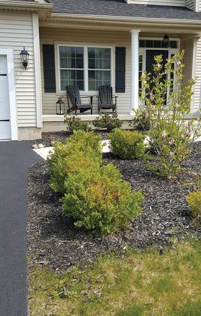 mulch before