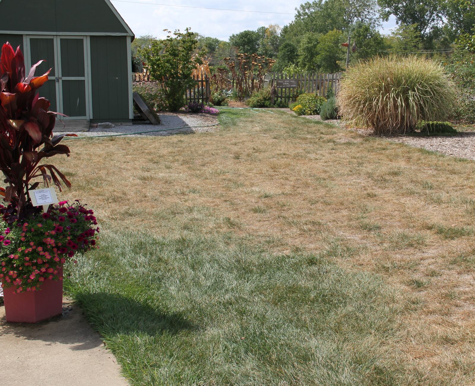Drought Conditions in Midland – What to Watch For and How to Protect Your Landscape