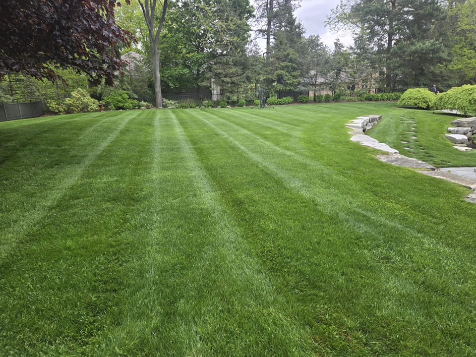 Thinking About a New Lawn? The Best Time to Plant Is Coming Soon.