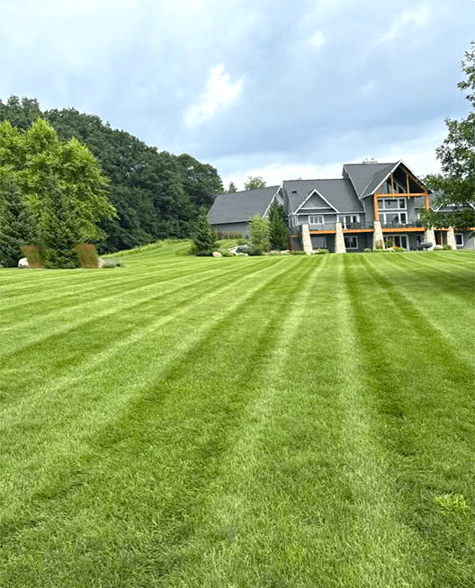 5 Things Homeowners Can Do Today to Rescue Their Lawn