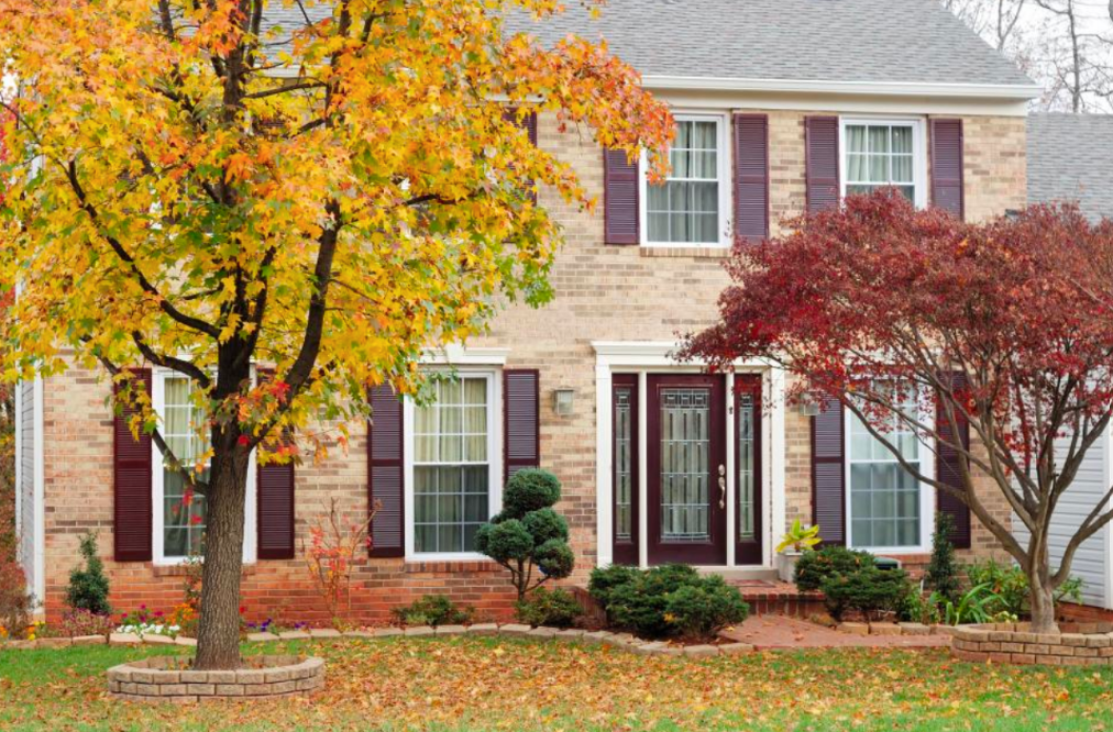 Do I Need To Do Anything For My Yard In The Fall?