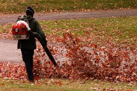 How Much Does Reder Charge for a Fall Clean-Up?