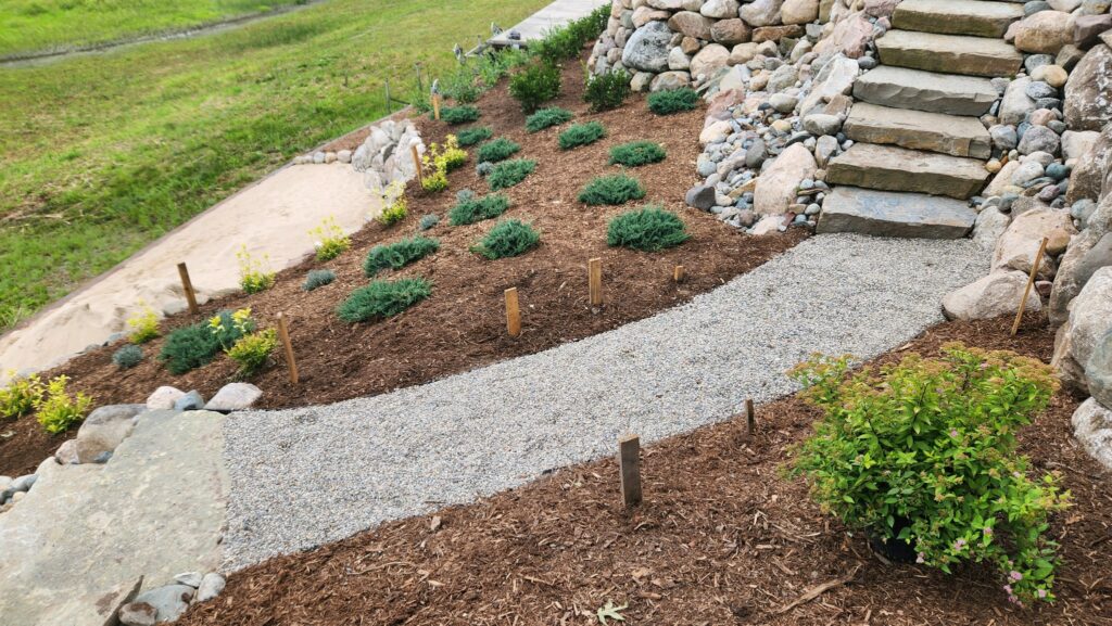 native lakefront plantings