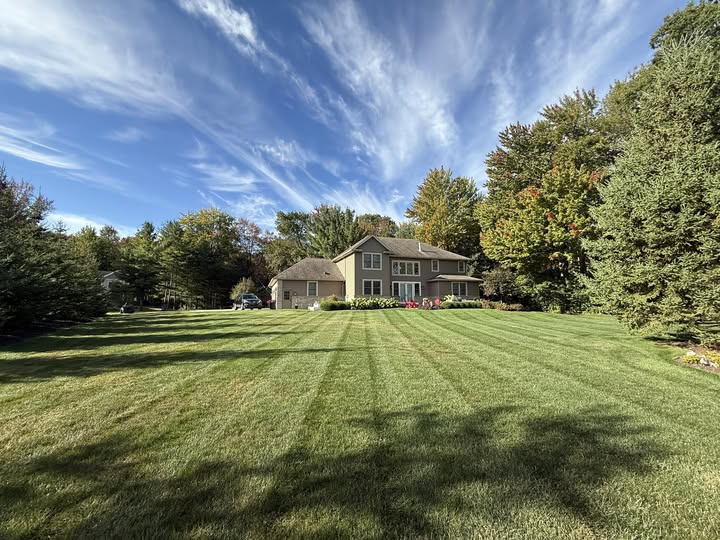 healthy lawn